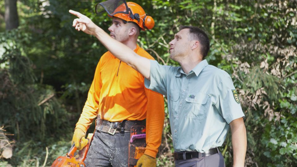 Nachhaltige Waldbewirtschaftung