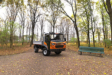 Muli T15 V im Wald