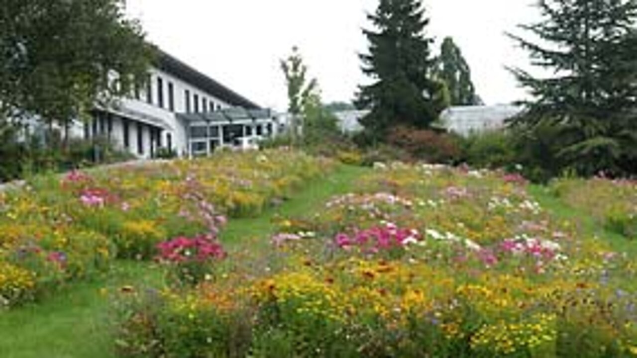 Versuchsparzellen