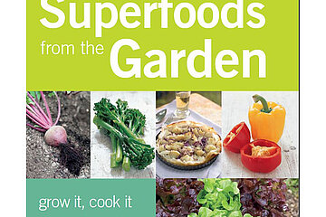 Superfoods