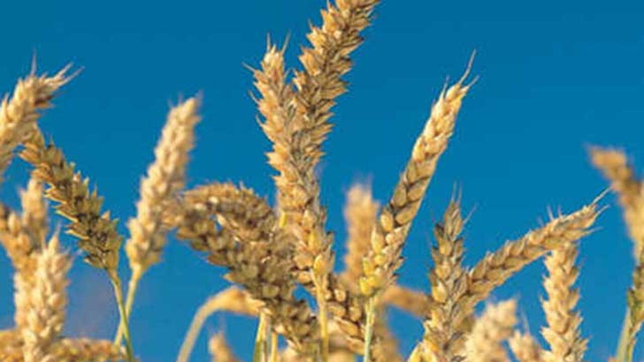 AGRO