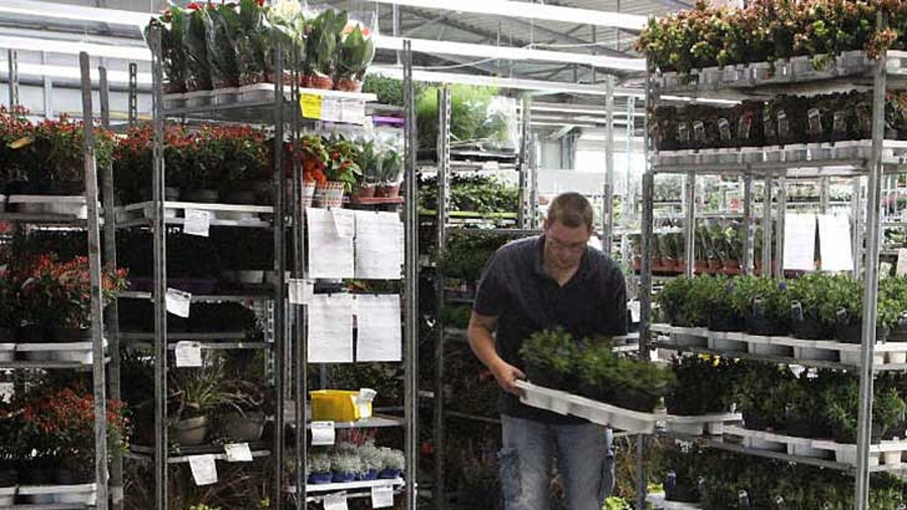 Pflanzenhändler