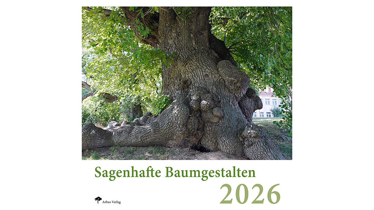 Kalender Baumgestalten 2026
