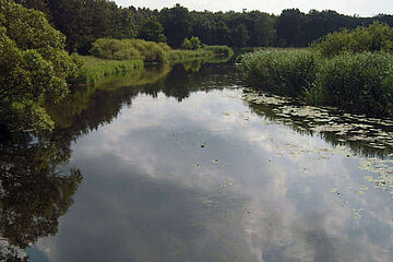 Image-16627