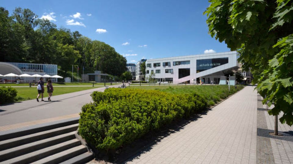 Stadthügel