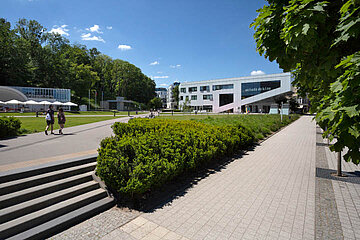Stadthügel