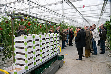 Kraftwerk heizt Tomaten