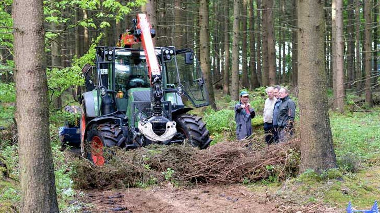 Waldbewirtschaftung