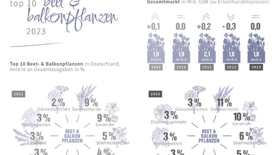Beet und Balkonpflanzen