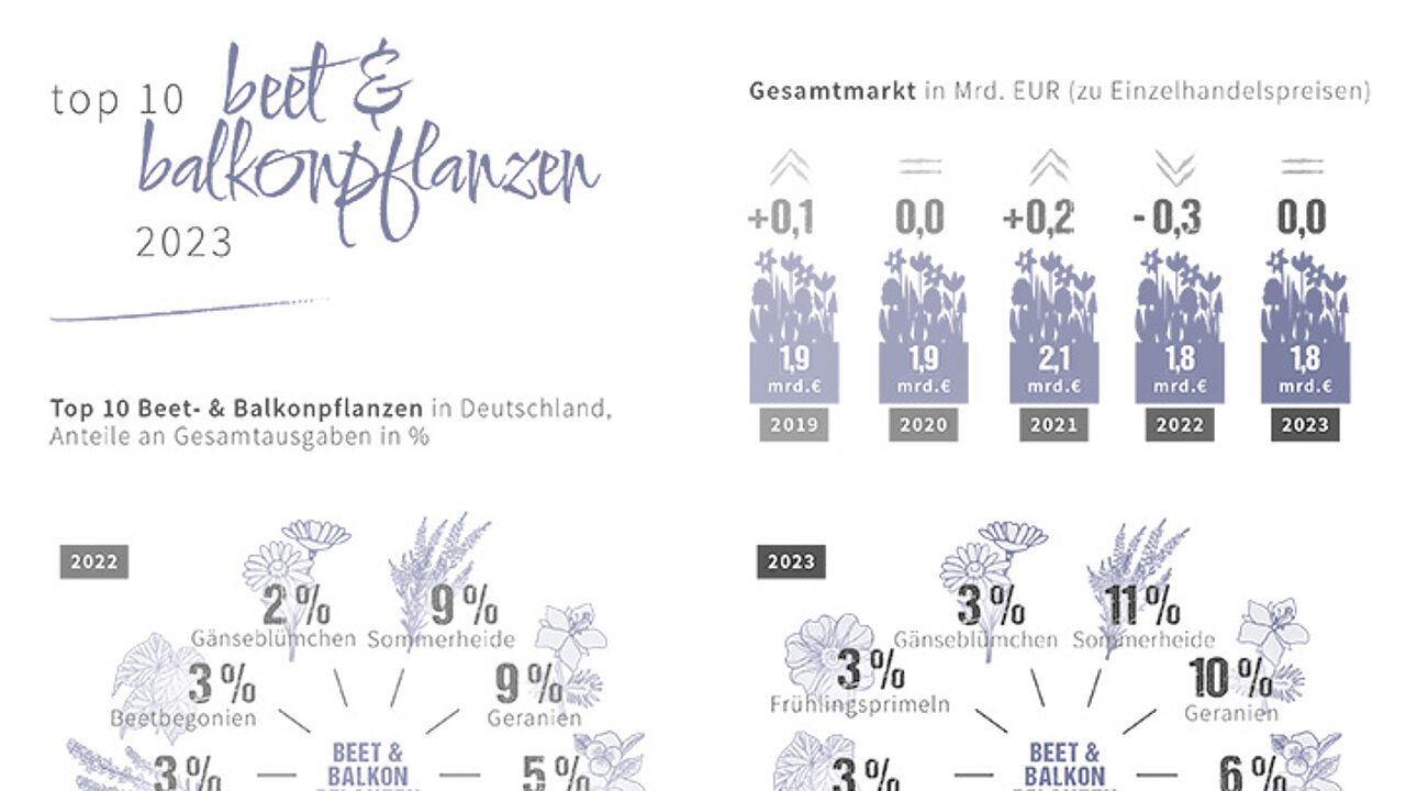Beet und Balkonpflanzen
