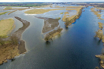 Image-17913