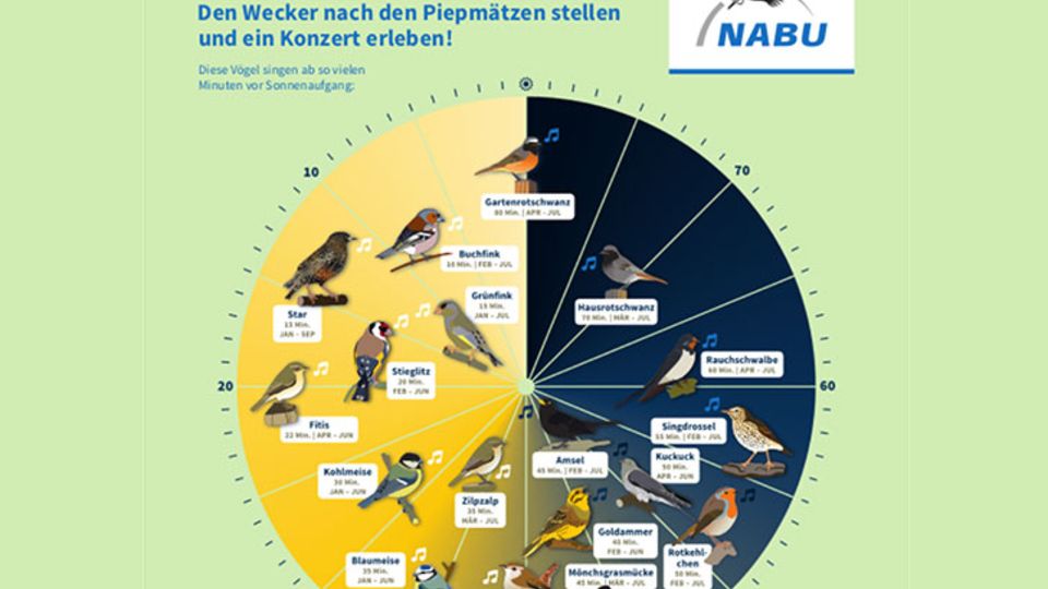 Vogeluhr