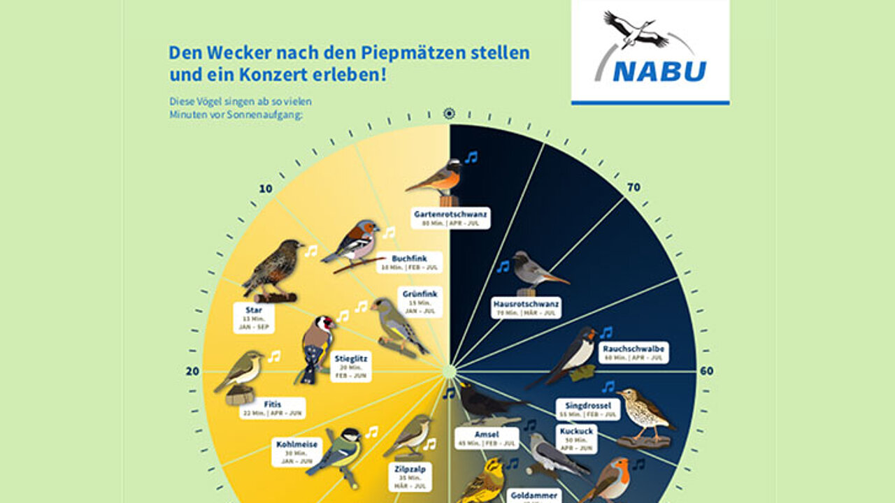Vogeluhr