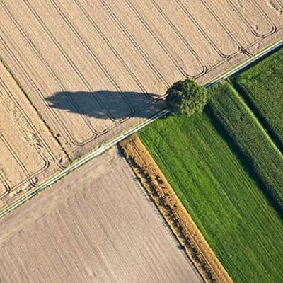 Agrarlandschaft