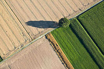 Agrarlandschaft