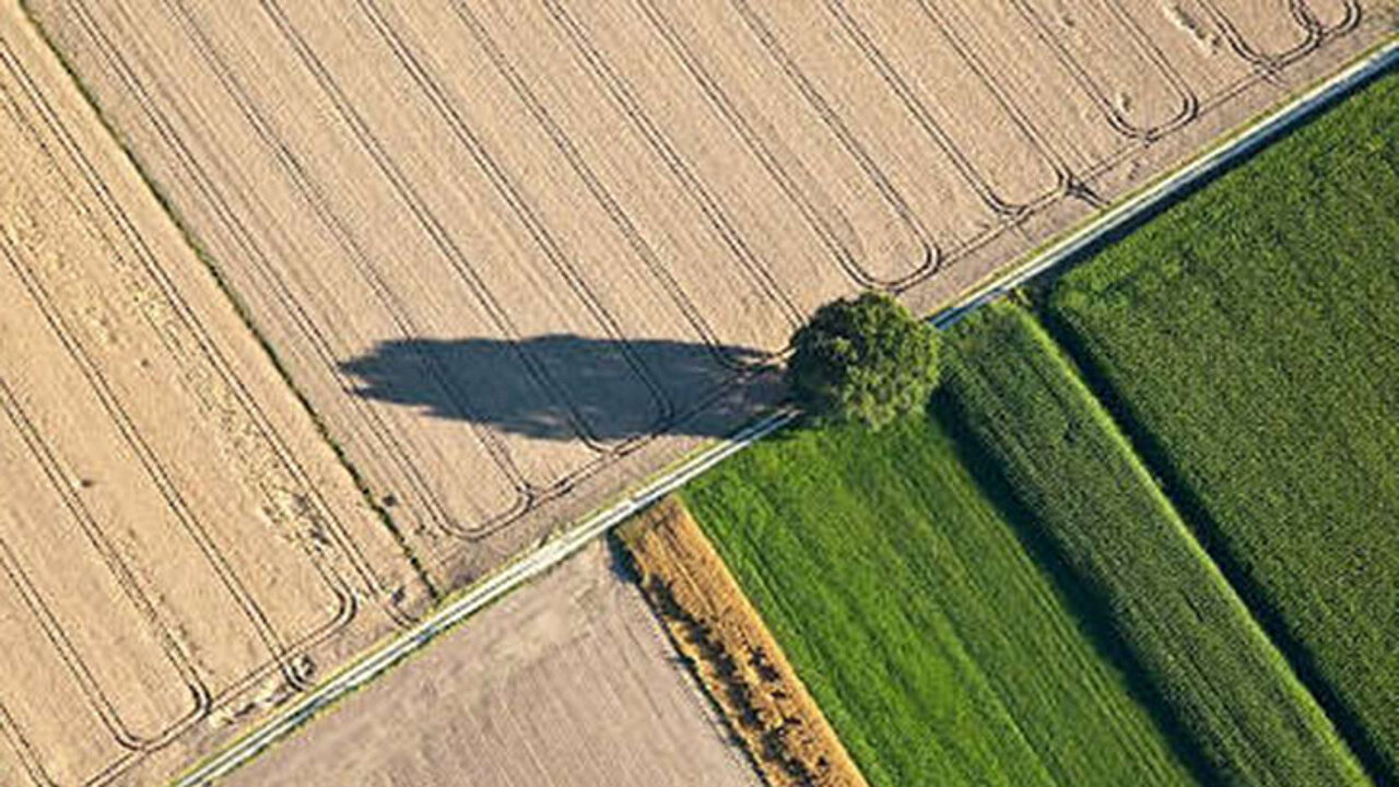 Agrarlandschaft