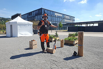 STIHL Heckenschneider HLA 150 B