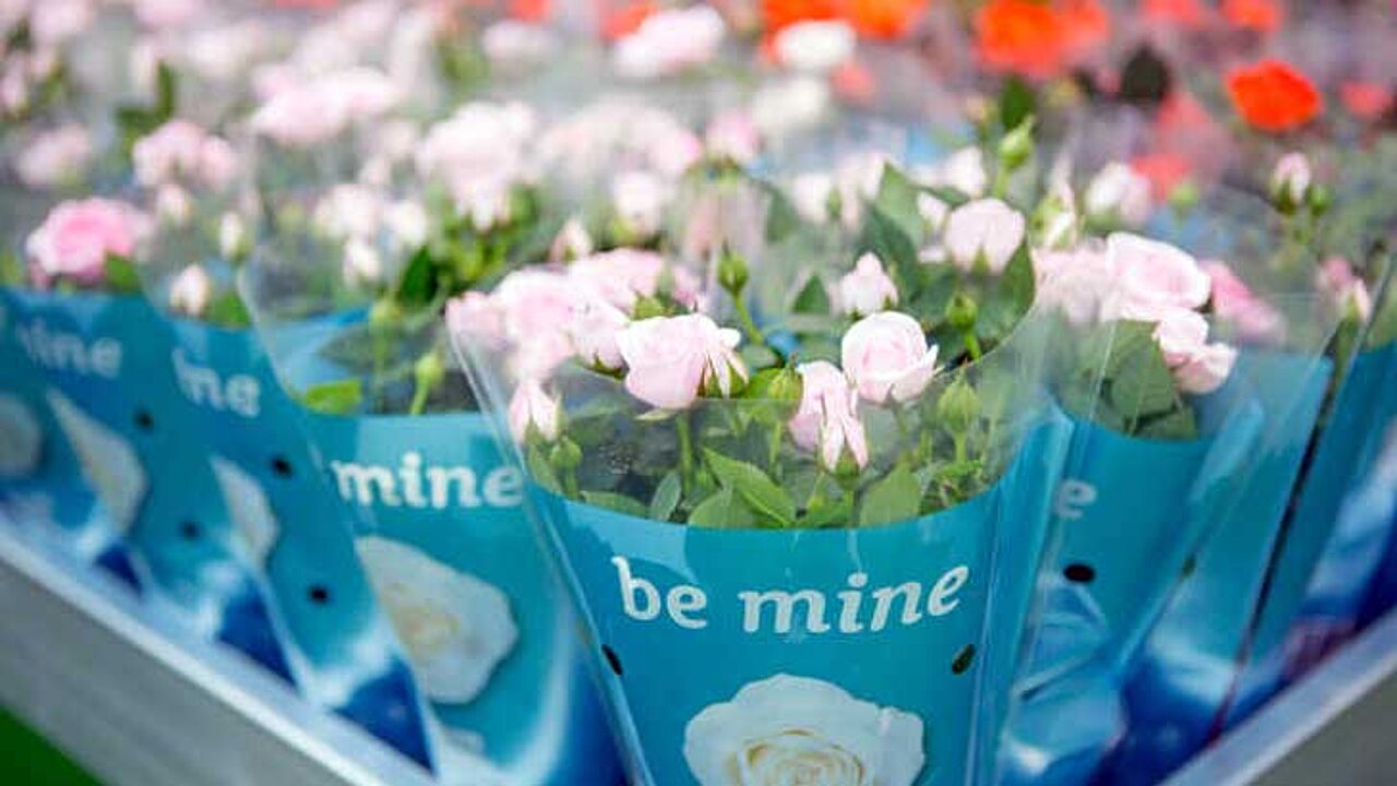 Floradecora 2018