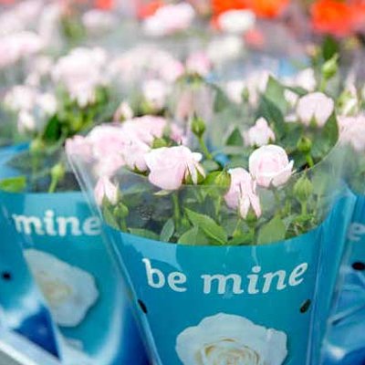 Floradecora 2018