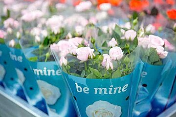 Floradecora 2018