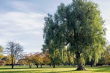 Klimafunktionen in der Stadt