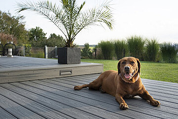 Ultsch Trex Terrassendielen