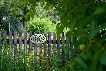 Natur im Garten Tag