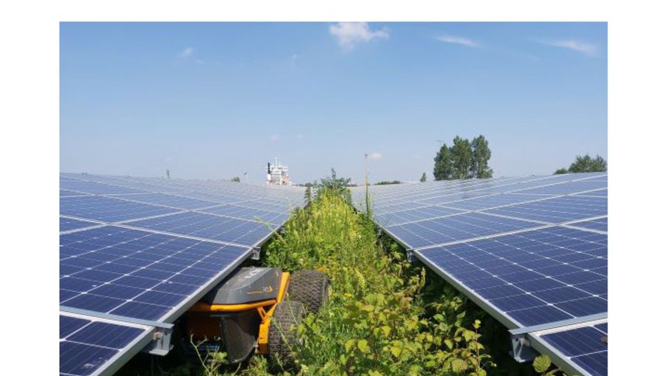 Vegetationskontrolle in Solarpar