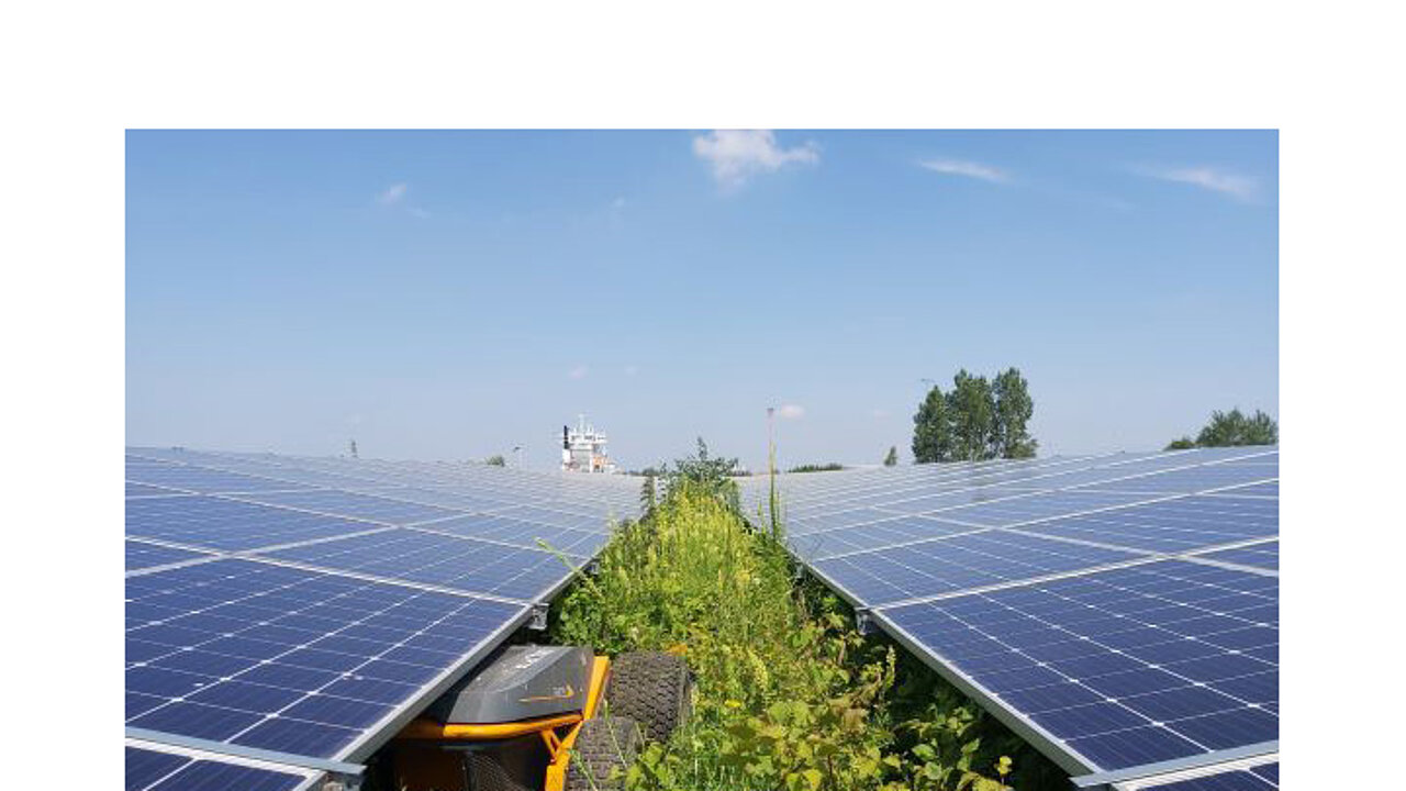 Vegetationskontrolle in Solarpar
