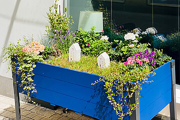 WILHELMS UrbanFARM