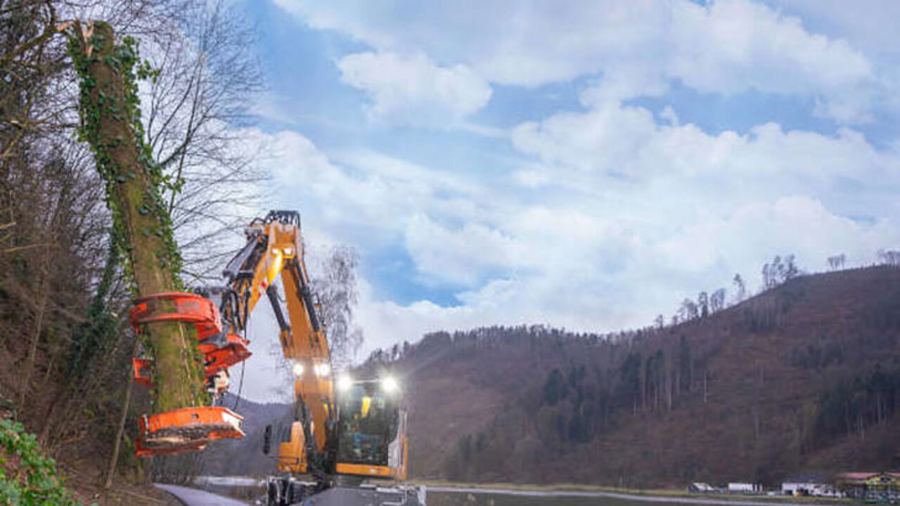 Woodcracker C350