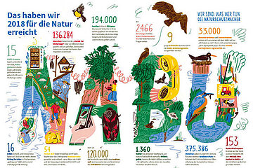 Grafik