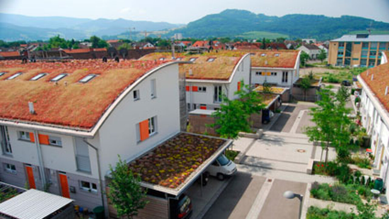 Fachseminar Dachbegrünung Fachseminar Dachbegrünung