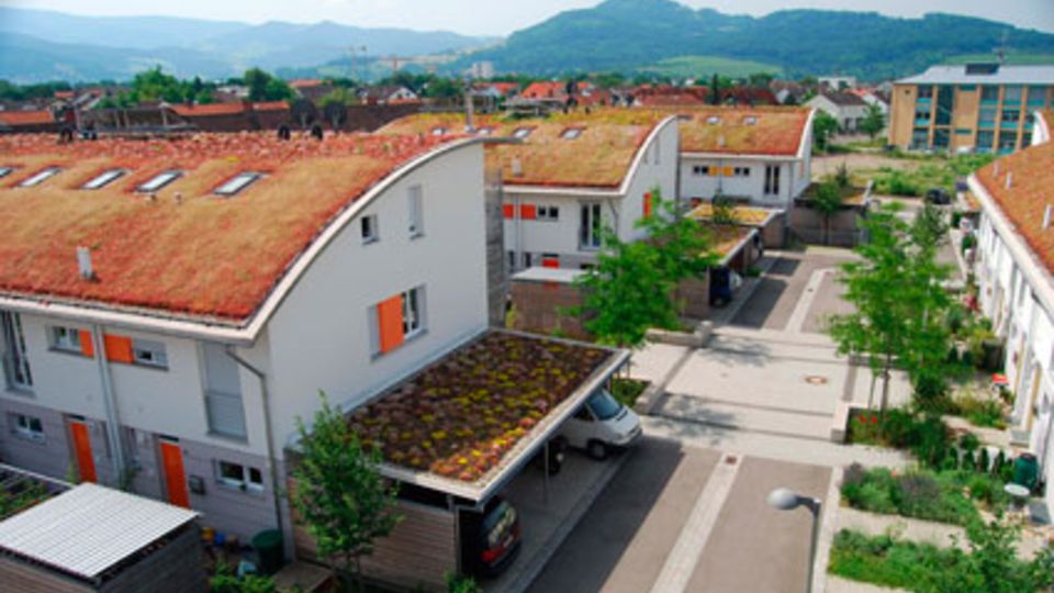 Fachseminar Dachbegrünung