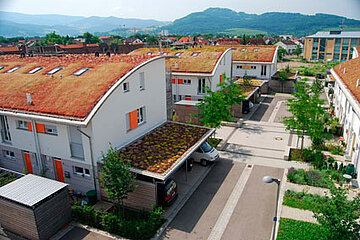 Fachseminar Dachbegrünung Fachseminar Dachbegrünung