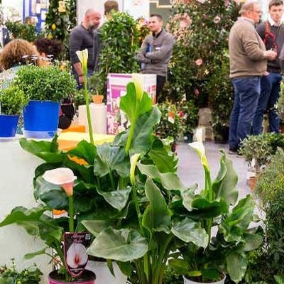 IPM ESSEN 2018