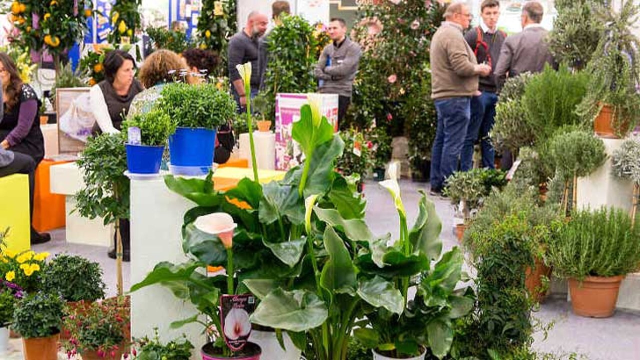 IPM ESSEN 2018