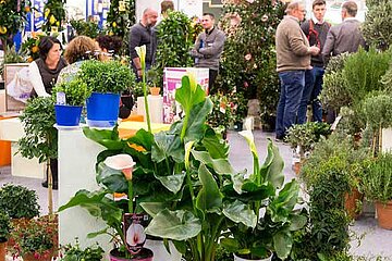IPM ESSEN 2018
