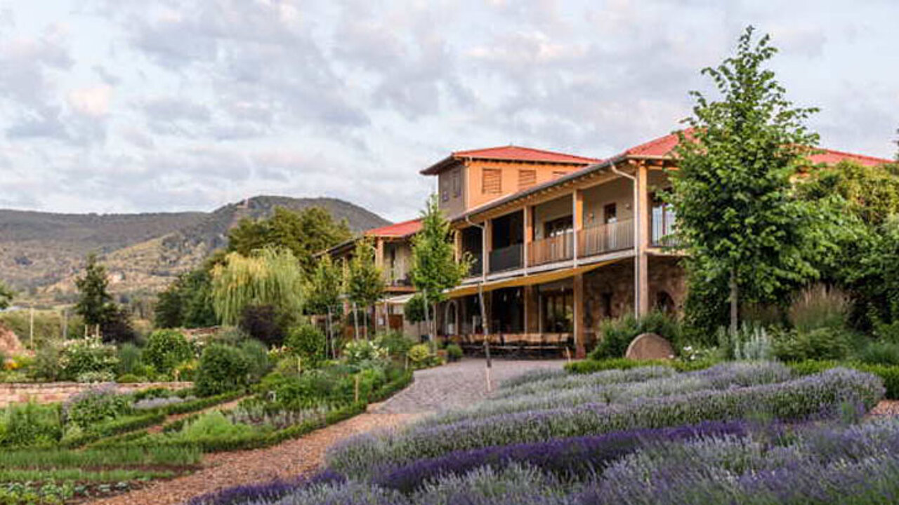 Lavendel