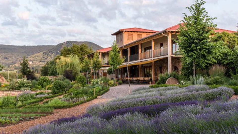 Lavendel