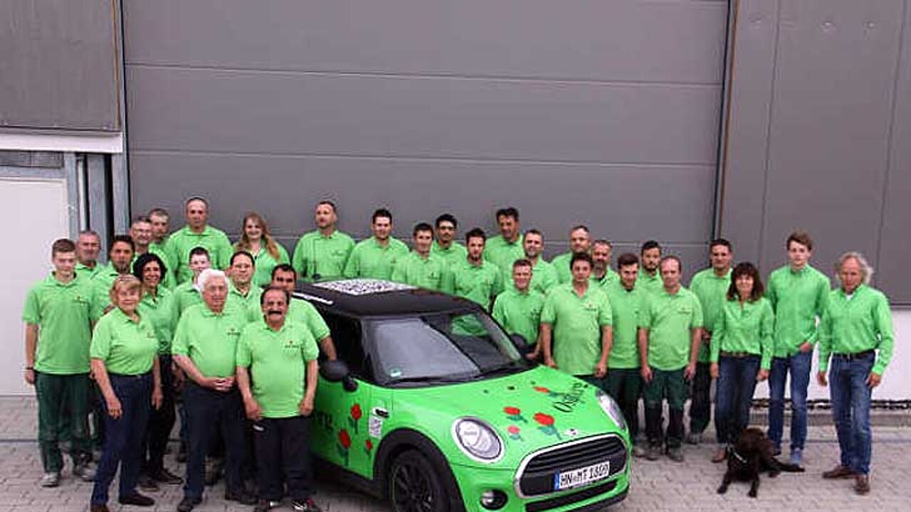 Team