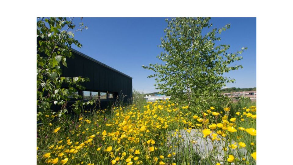 Bodensee Stiftung
