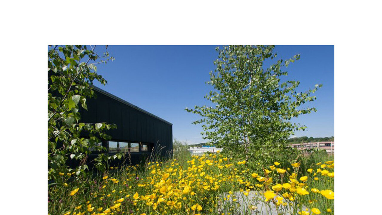 Bodensee Stiftung