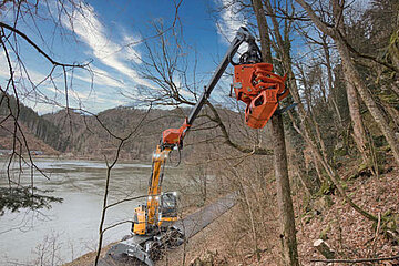Woodcracker CS crane