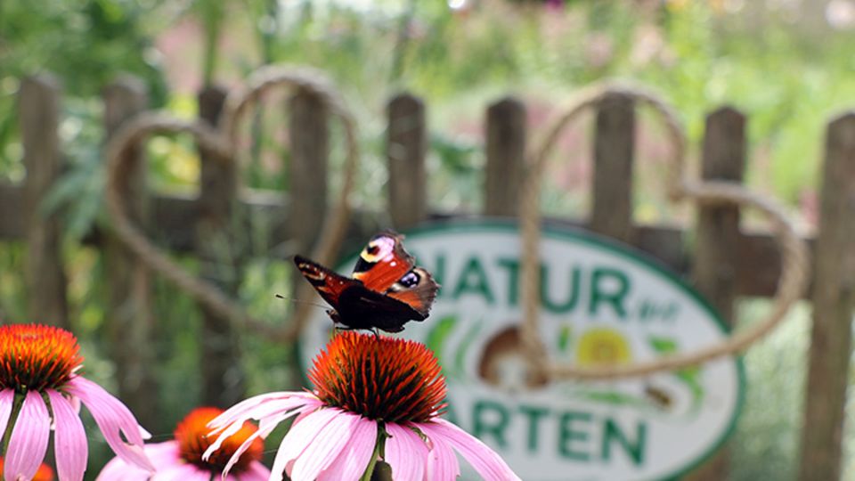 Natur im Garten