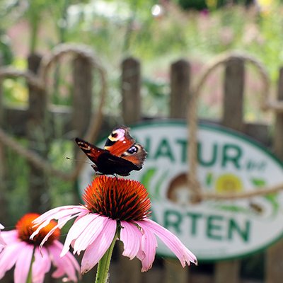 Natur im Garten