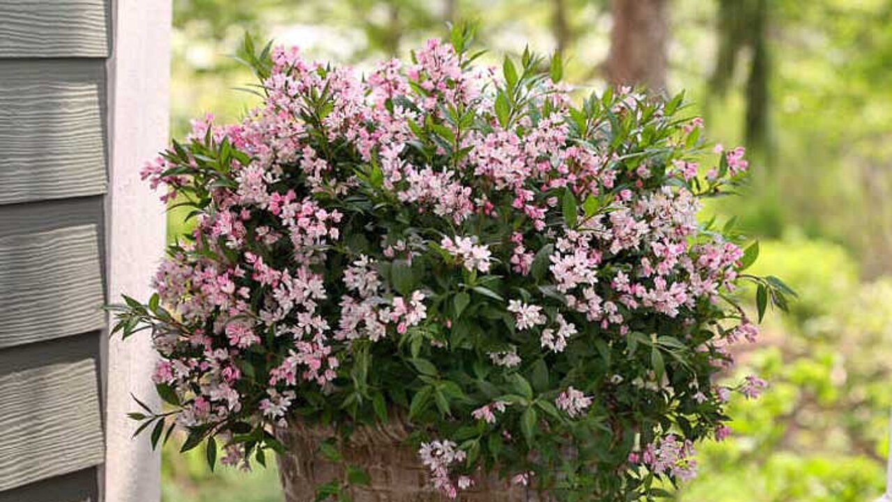 image-5550