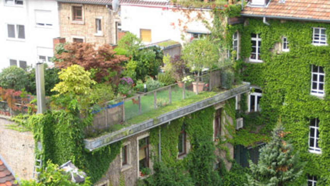 Dachgarten