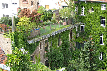 Dachgarten