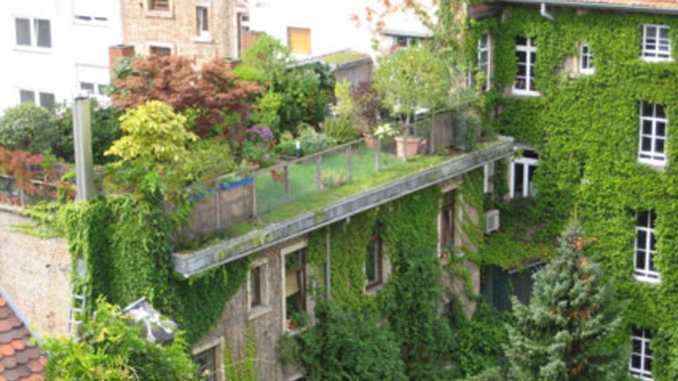 Dachgarten